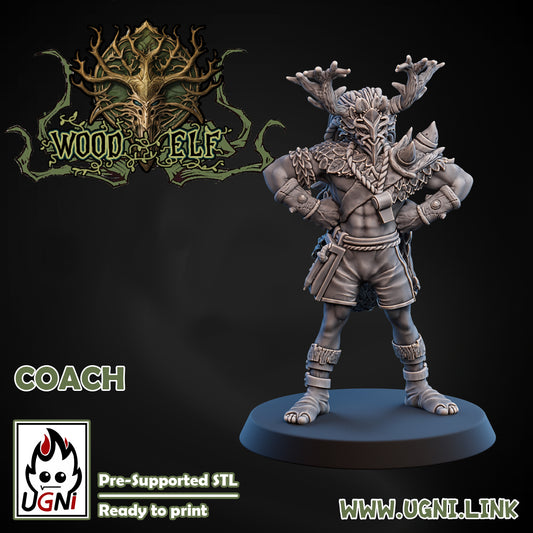 Wood Elf - Coach | UGNI Miniatures | Resin