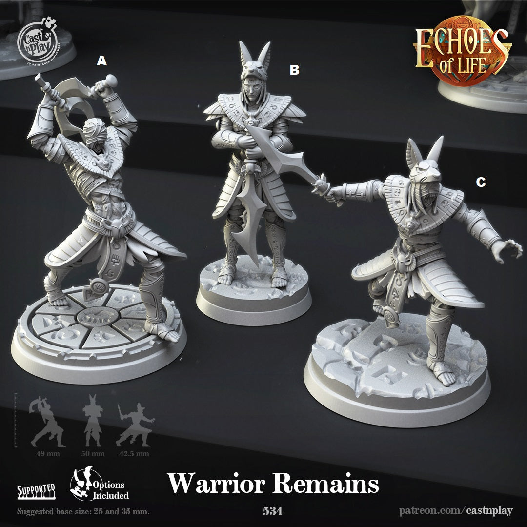 Warrior Remains - Echoes of Life | Cast N Play | Resin