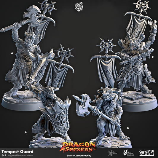 Tempest Guard - Dragon Seekers | Cast N Play | Resin